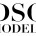 DSG LOGO